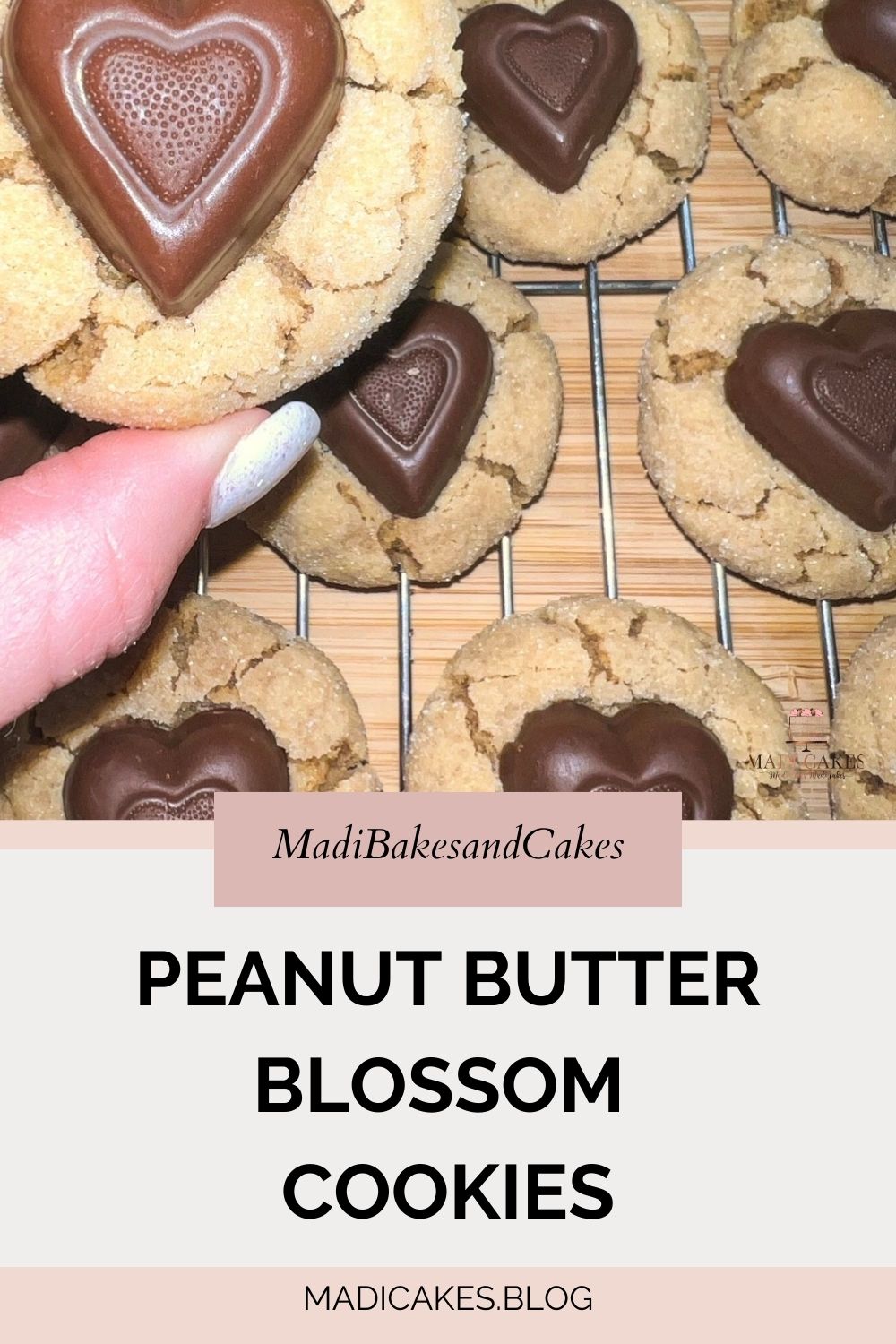 Peanut Butter Blossom Cookies